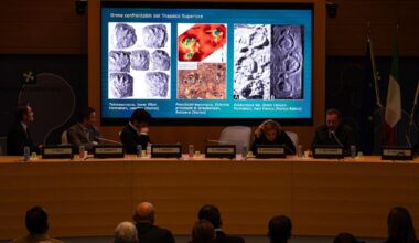 Des centaines d’empreintes de dinosaures découvertes sur une montagne italienne