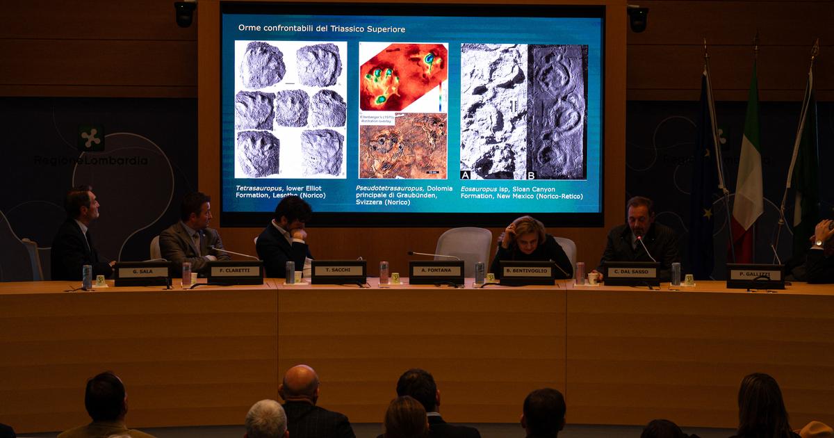 Des centaines d’empreintes de dinosaures découvertes sur une montagne italienne