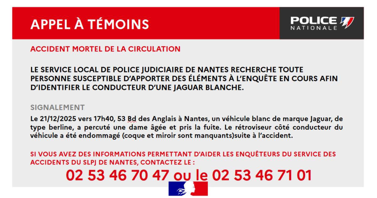 une femme de 85 ans meurt après avoir été renversée par une Jaguar, le conducteur en fuite activement recherché
