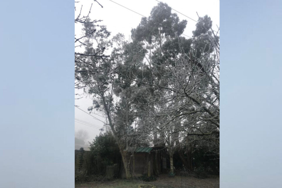 Barsac (Gironde). A l'appel du Républicain-Sud-Gironde, de nombreux lecteurs ont adressé des images de leur environnement, recouvert d'un manteau blanc.