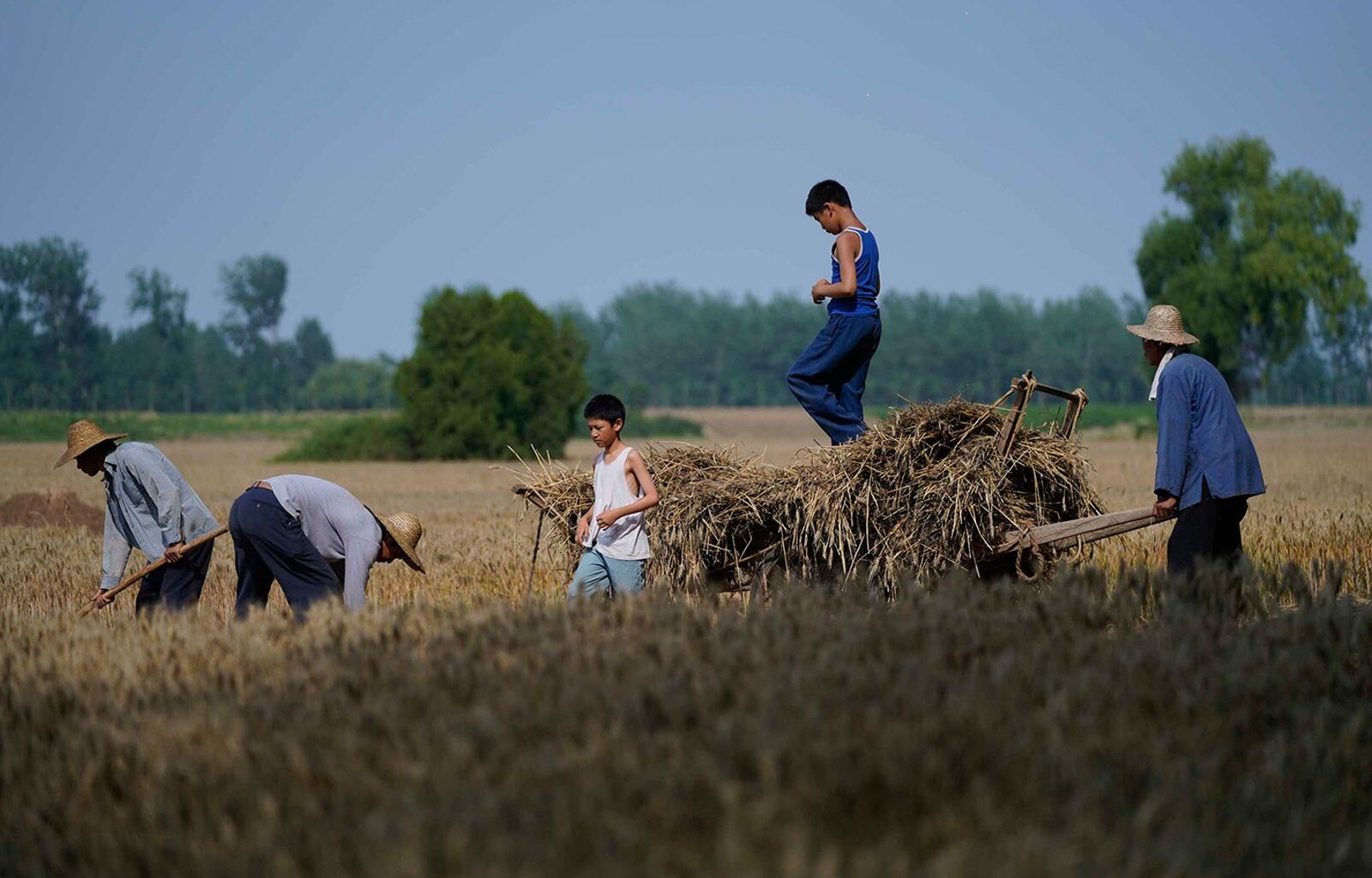 “Le Temps des moissons”, de Huo Meng : une fresque éblouissante sur la modernisation à marche forcée de la Chine - Télérama