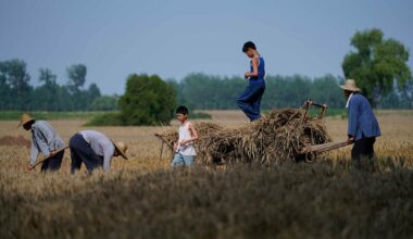 “Le Temps des moissons”, de Huo Meng : une fresque éblouissante sur la modernisation à marche forcée de la Chine - Télérama