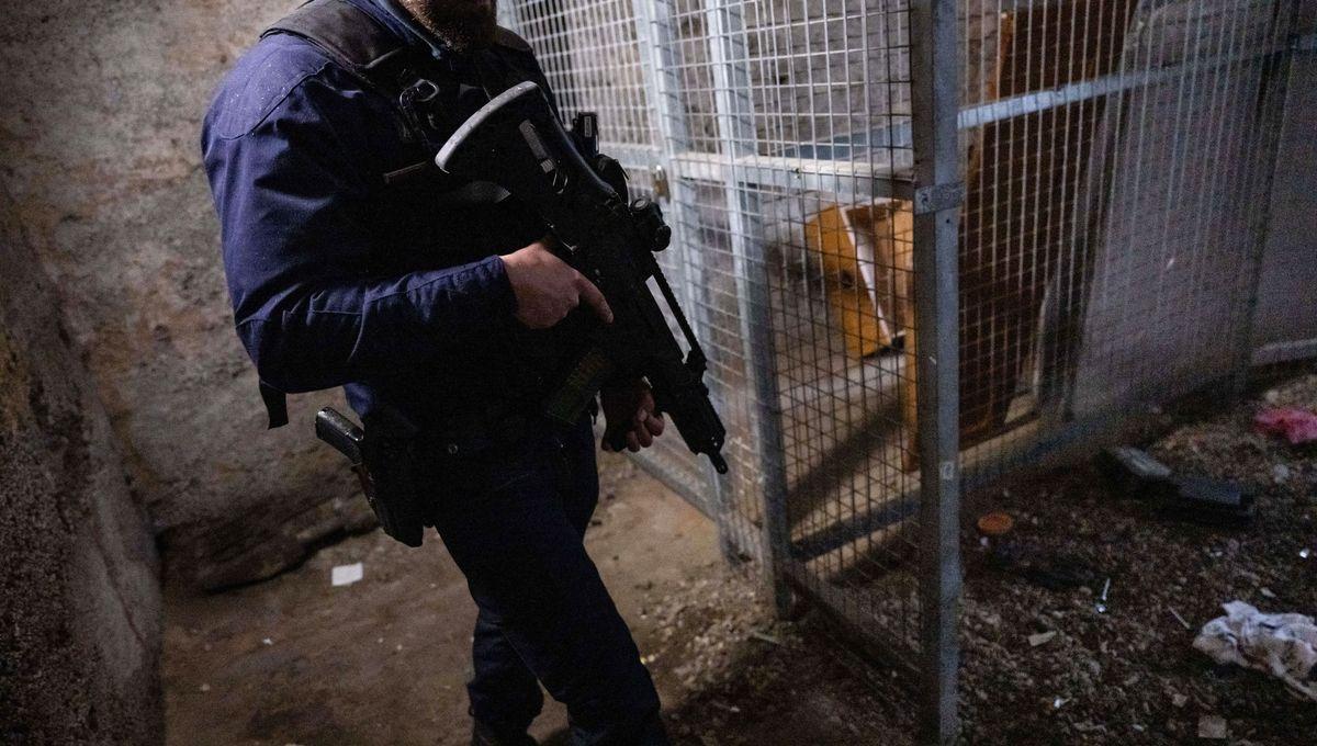 Bordeaux : trois mises en examen après une fusillade mortelle liée au narcotrafic