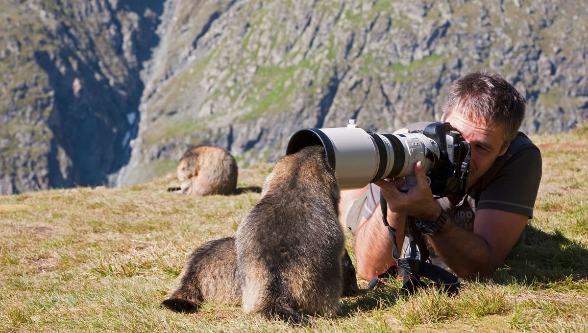 Les dégâts des photographes naturalistes sur la faune et la flore