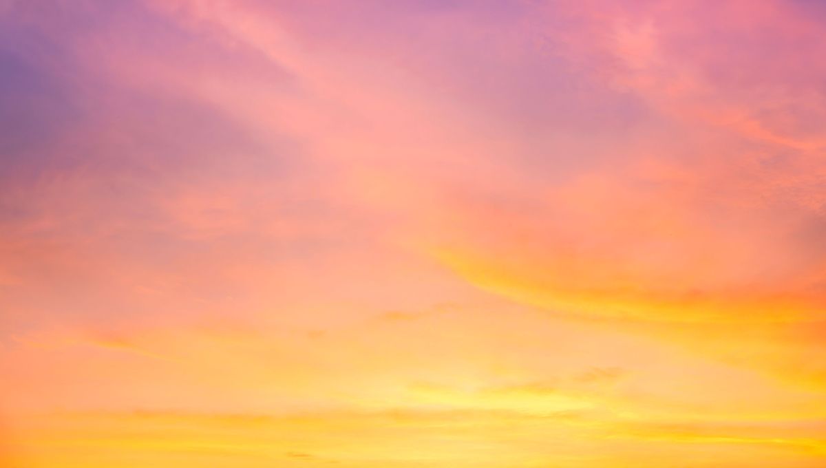 On a survécu ! - Radio France