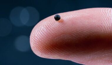 Ce micro robot peut naviguer dans les vaisseaux sanguin et transporter un médicament