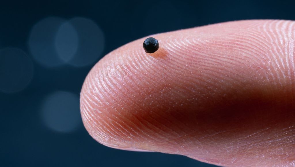 Ce micro robot peut naviguer dans les vaisseaux sanguin et transporter un médicament