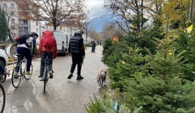 Le marché aux sapins s'installe à Grenoble : "On va tomber amoureux d'un sapin et puis on va le ramener !"