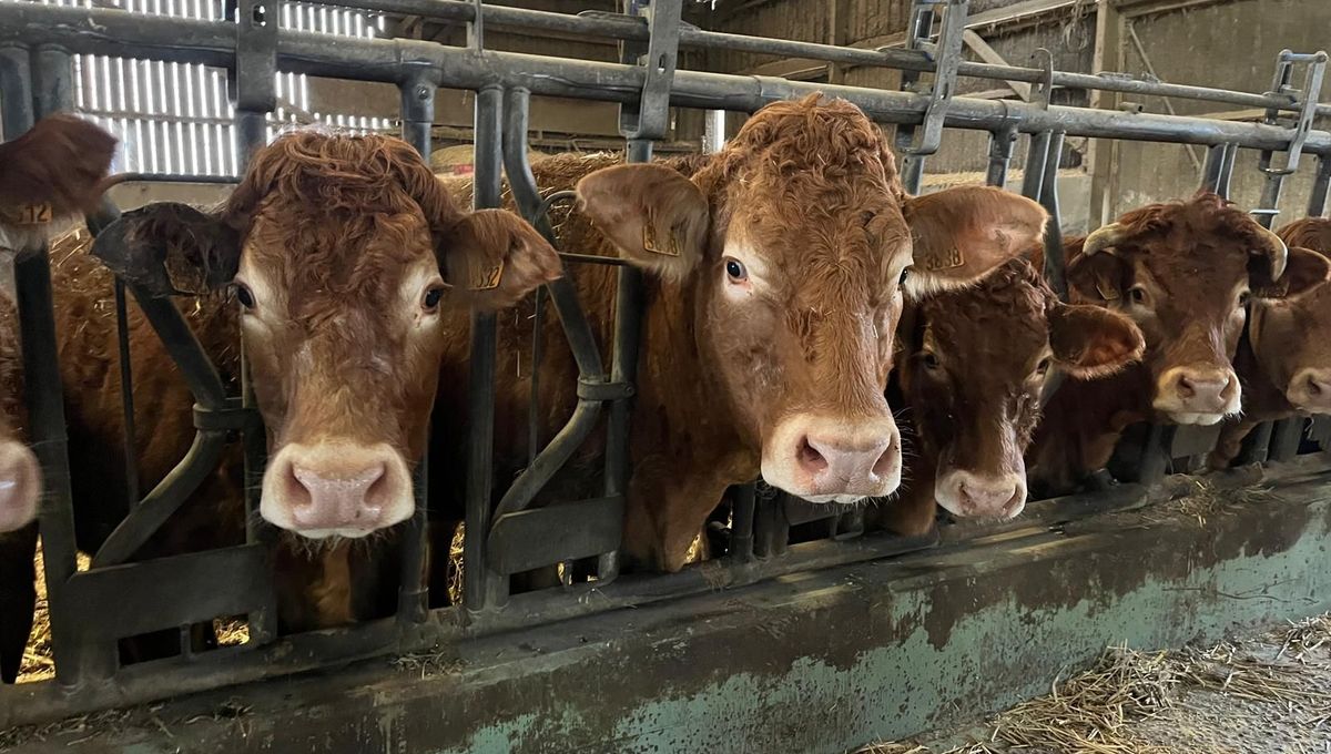 Mobilisation agricole : des centaines d'agriculteurs de la Seine-Maritime et de l'Eure à Rouen et Bruxelles ce jeudi