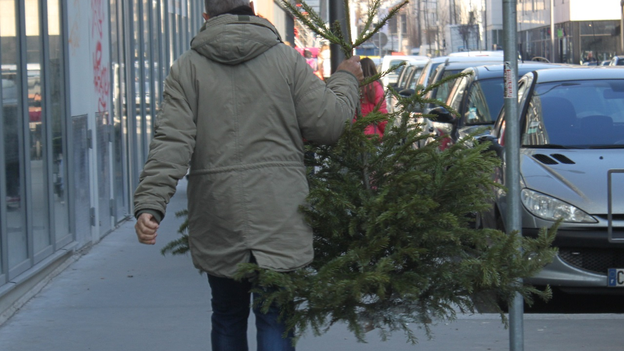 Après les fêtes, 57 points de collecte pour recycler les sapins dans la métropole grenobloise