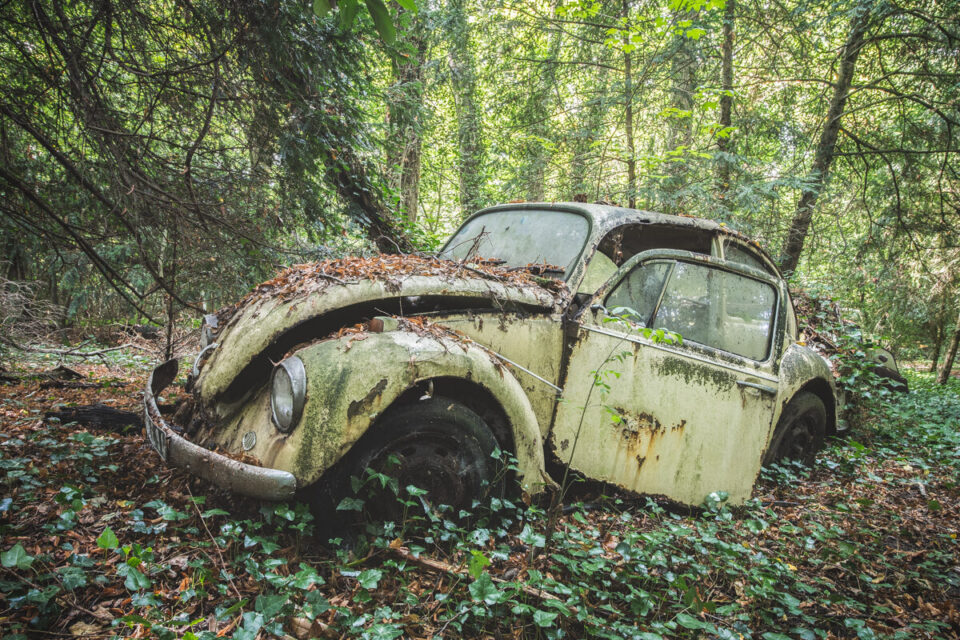 Florent Devauchel a découvert en 2015 la photographie de carcasses de voitures avec un collègue photographe et épaviste.