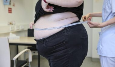 les spécialistes fixent un cadre précis