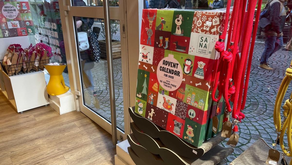 illustration agrandir l