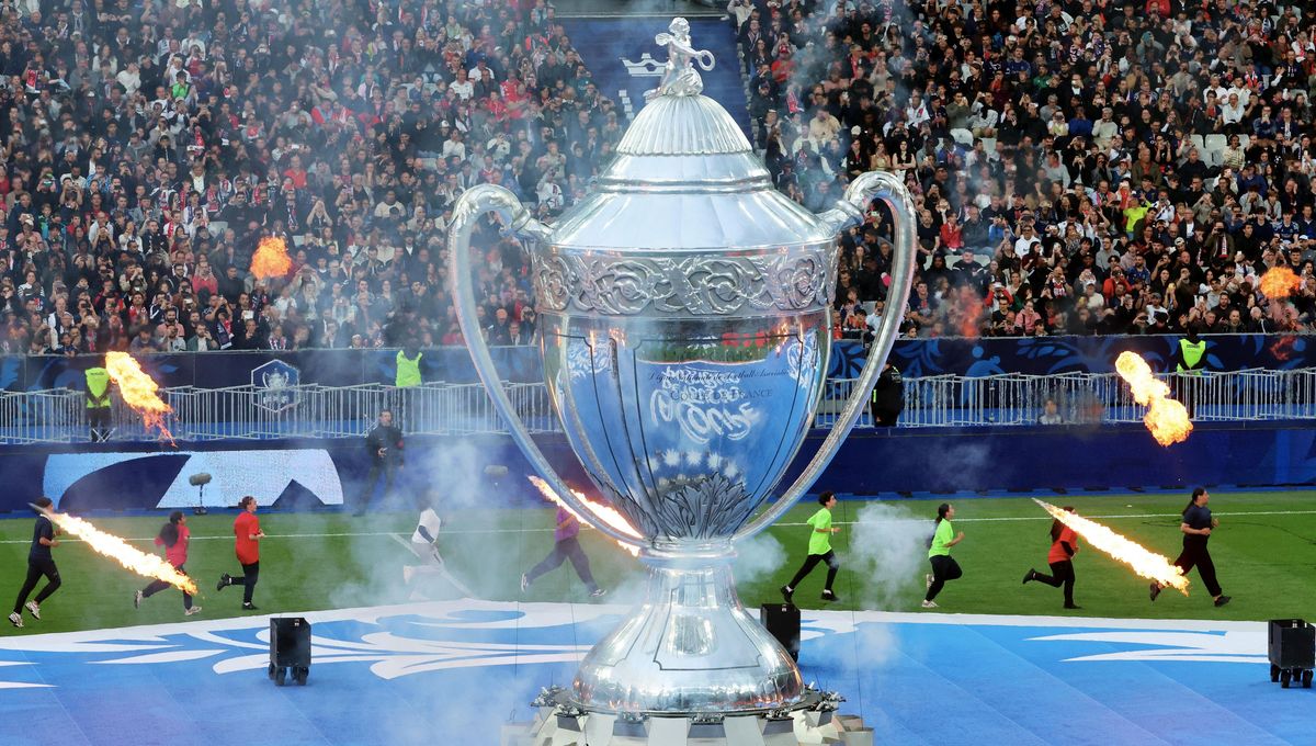 illustration agrandir l