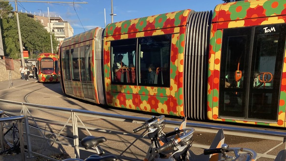 Vol d’un sac dans le tramway, et d’un téléphone dans un bar à Montpellier : le suspect était sous le coup d’une interdiction du territoire