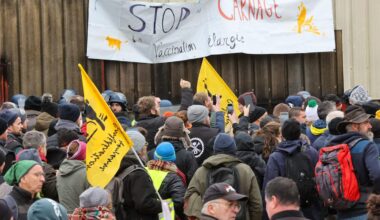 des centaines d’éleveurs mobilisés contre l’abattage massif des bovins
