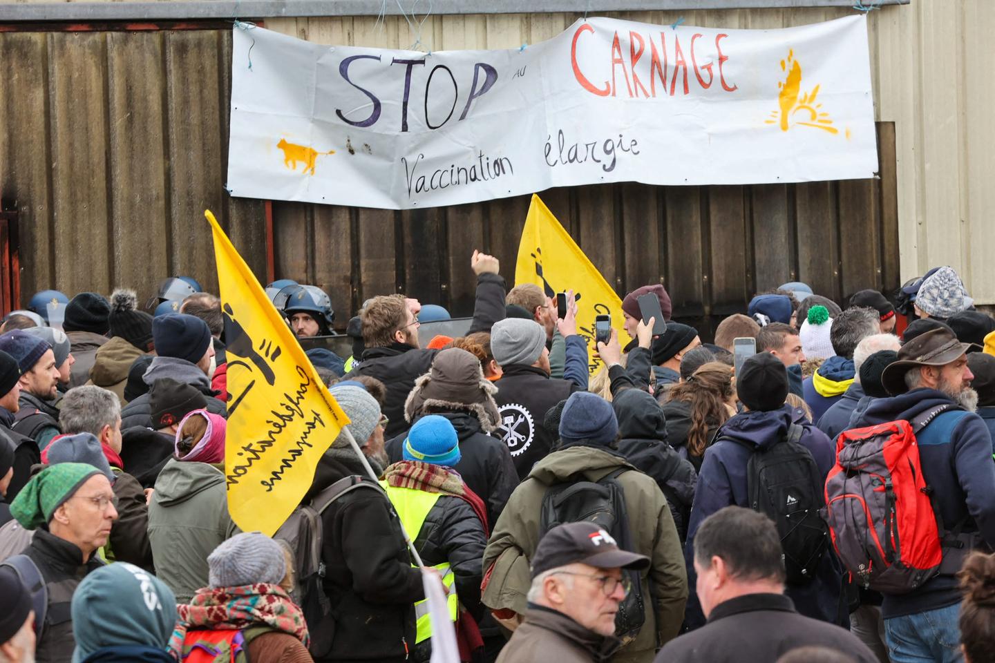 des centaines d’éleveurs mobilisés contre l’abattage massif des bovins