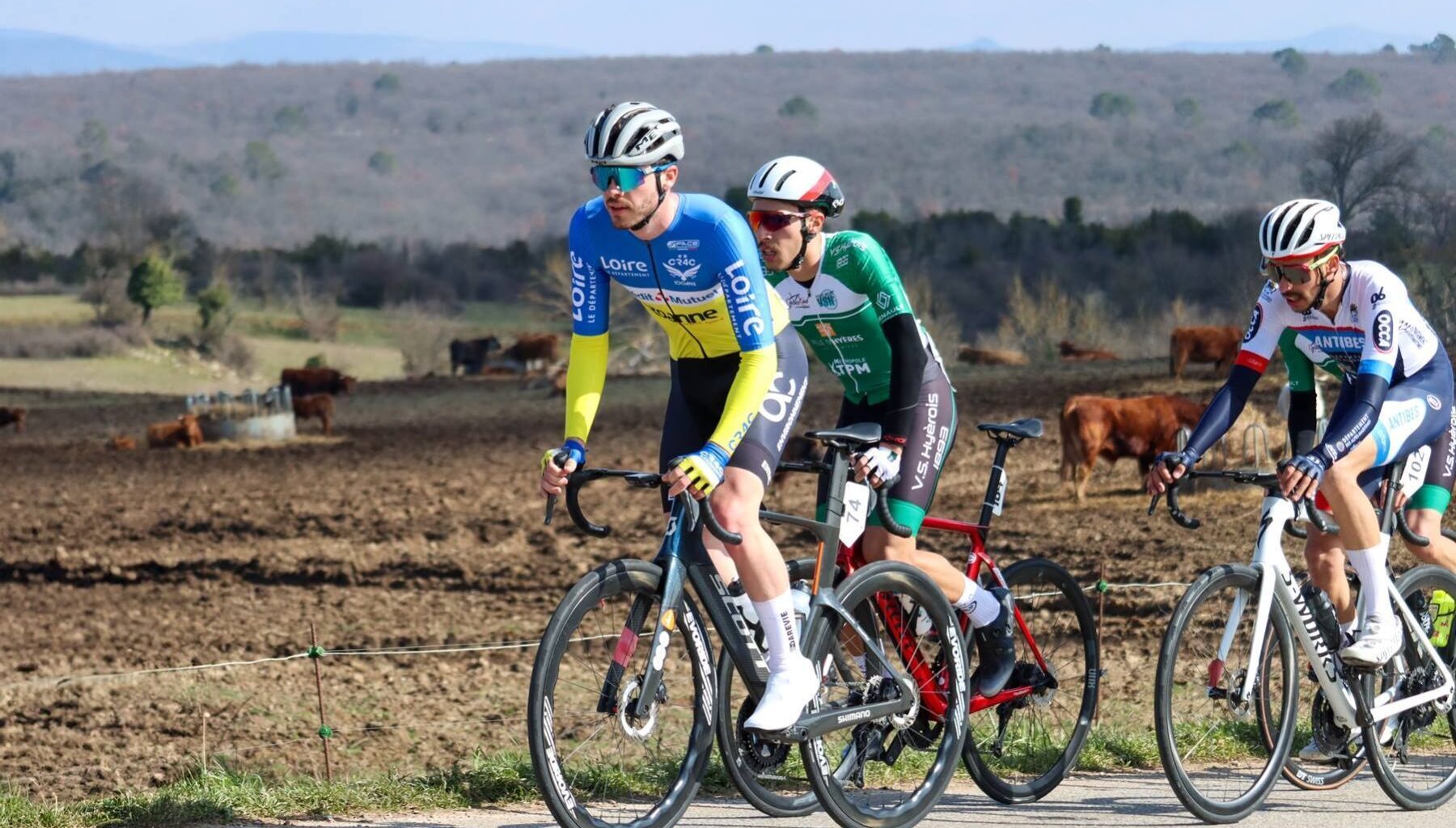 Un retour à Antibes-Alpes-Maritimes - Actualité