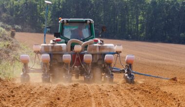 On vous présente les NGT, cette nouvelle génération d'OGM que l'Union européenne veut introduire dans l'agriculture