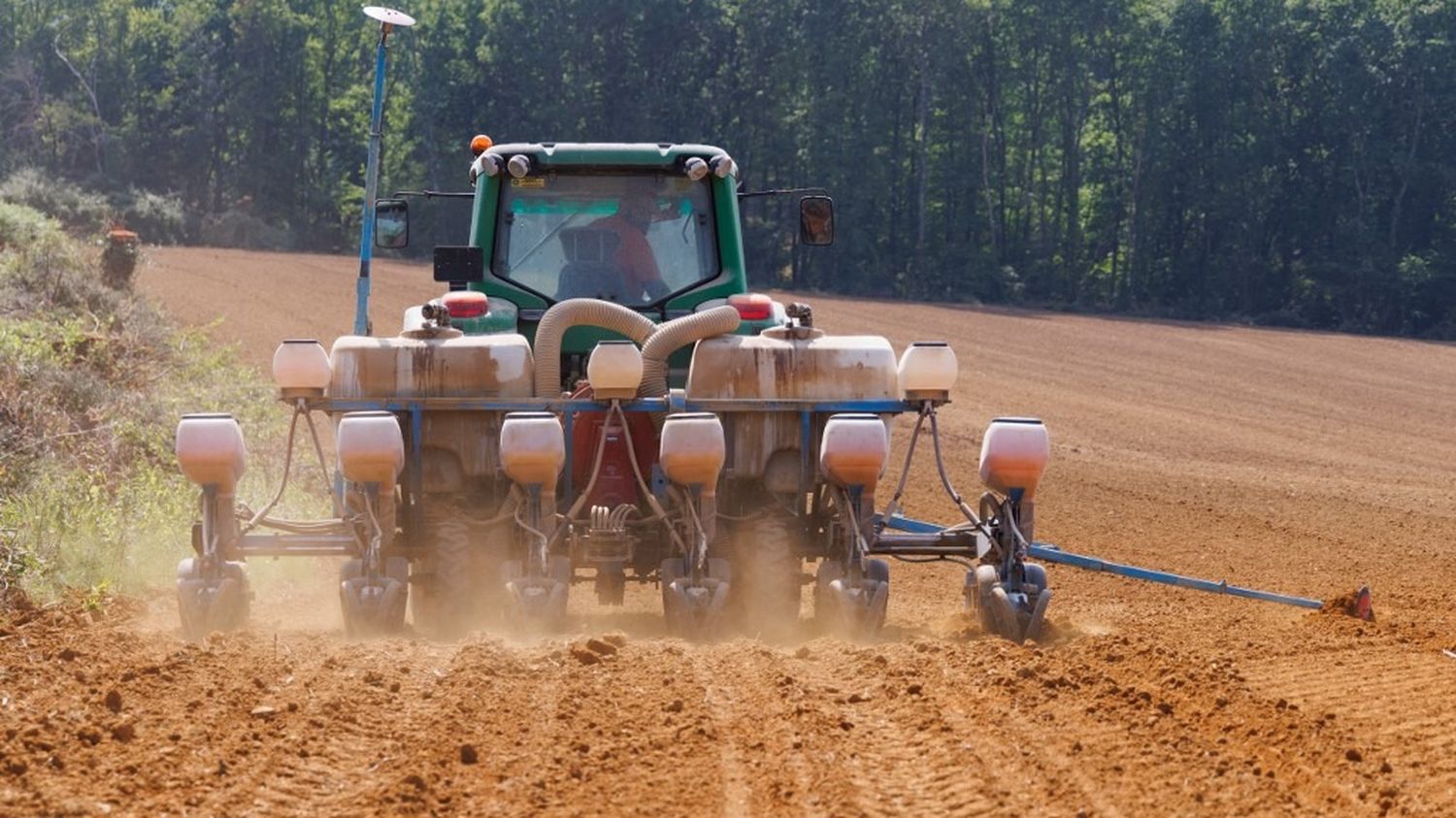 On vous présente les NGT, cette nouvelle génération d'OGM que l'Union européenne veut introduire dans l'agriculture