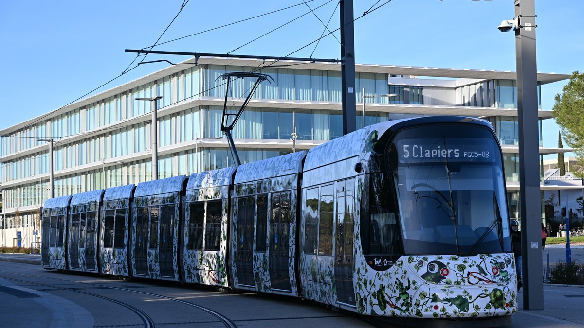 "C’est la phase d’émerveillement" : la ligne 5 circule à blanc et apparaît enfin au grand jour à Montpellier