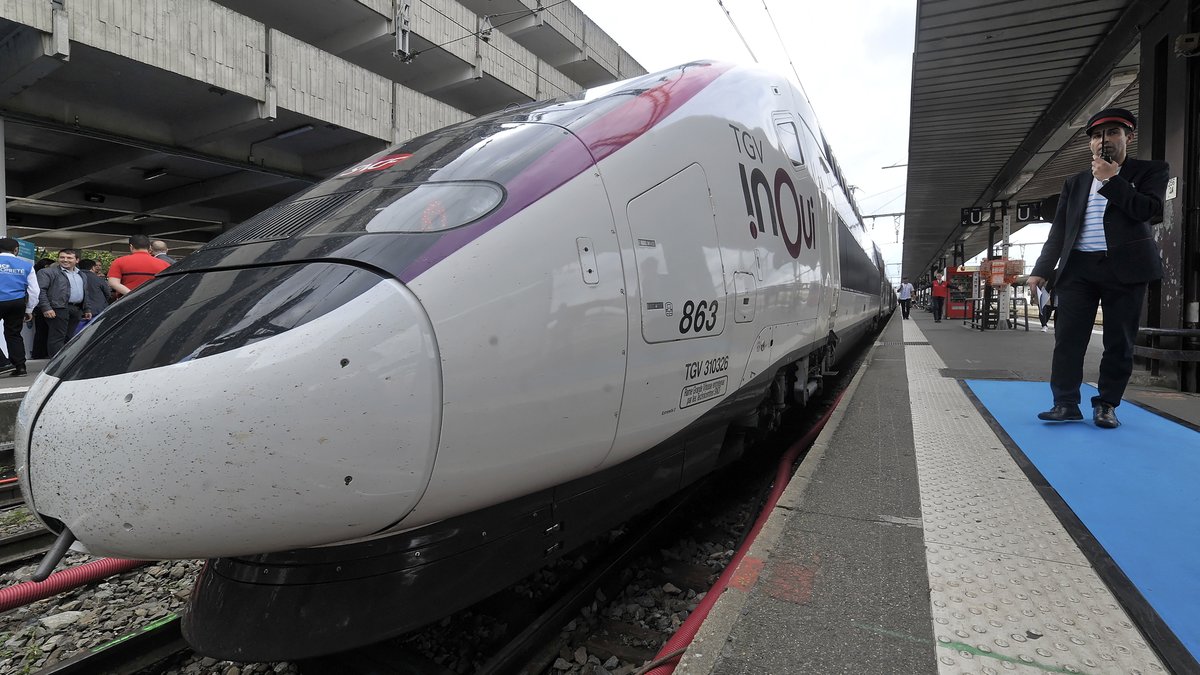 Municipales 2026 à Toulouse : LGV et A 69, les deux dossiers chauds qui fâchent les gauches