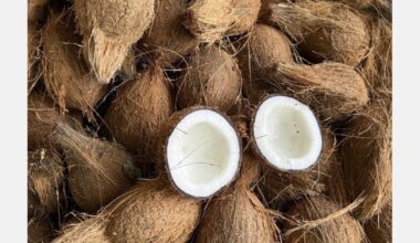 « La traçabilité des noix de coco suscite l'intérêt du Royaume-Uni »