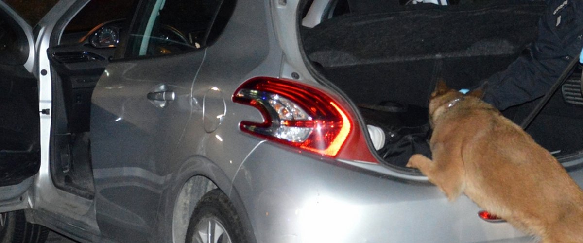 Course-poursuite à Montpellier : un chauffard gardois interpellé avec 1 kg de résine de cannabis et des comptes bancaires suspects