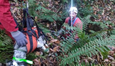 Chien coincé à 20 mètres de profondeur : une tentative de sauvetage engagée par les pompiers au sud de Toulouse