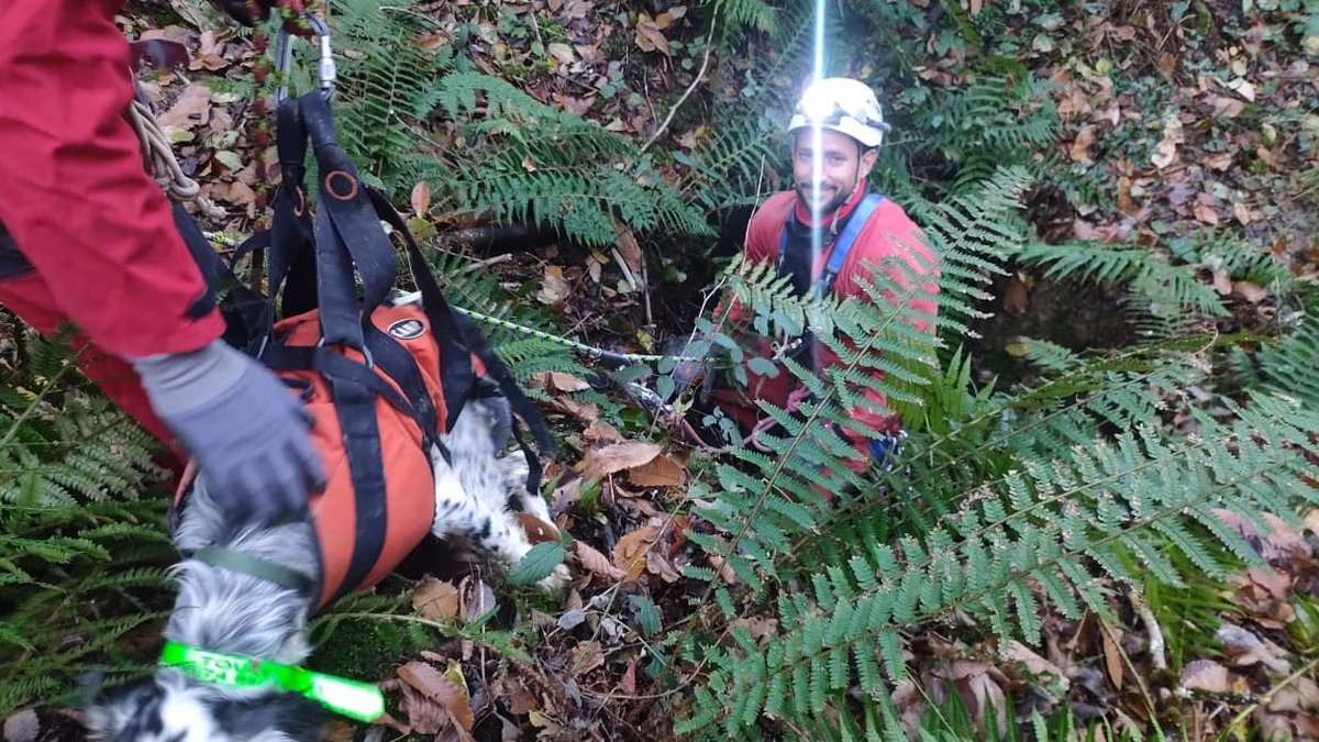 Chien coincé à 20 mètres de profondeur : une tentative de sauvetage engagée par les pompiers au sud de Toulouse