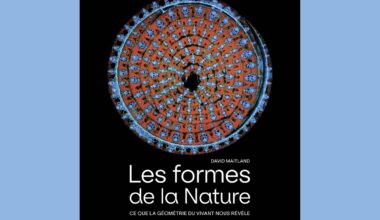 La sélection des beaux livres scientifiques à mettre sous le sapin