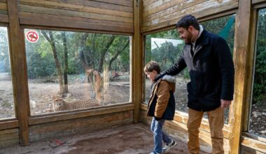 Le zoo du Lunaret en travaux : transferts d’animaux et parcours chamboulés pour les visiteurs à Montpellier