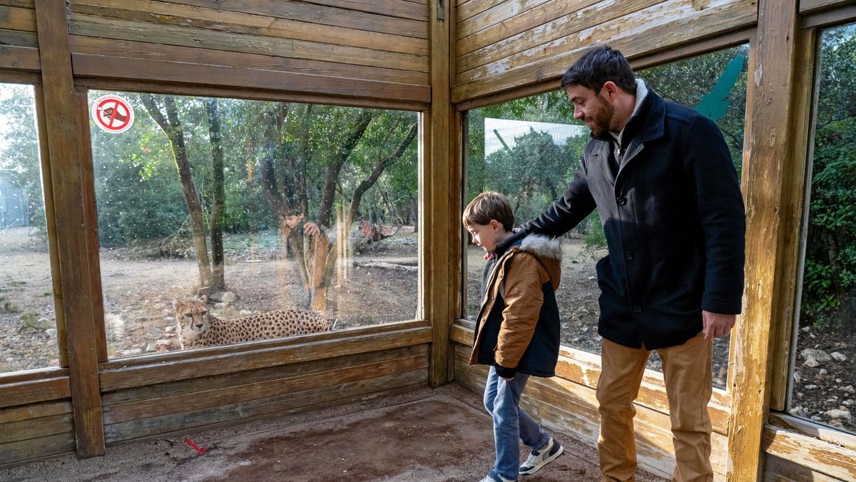 Le zoo du Lunaret en travaux : transferts d’animaux et parcours chamboulés pour les visiteurs à Montpellier