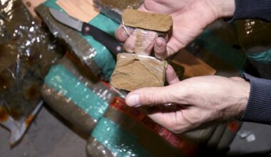 INFO LA DEPECHE. Près de 400 kg de cannabis saisis au nord de Toulouse, le suspect tente de prendre la fuite