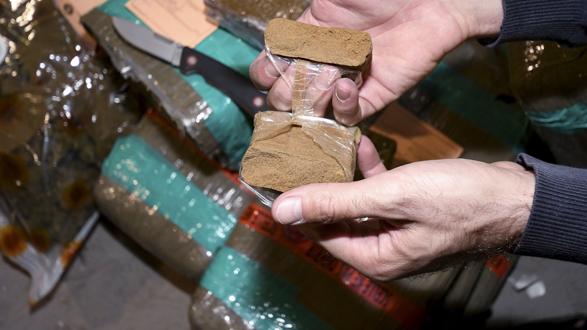 INFO LA DEPECHE. Près de 400 kg de cannabis saisis au nord de Toulouse, le suspect tente de prendre la fuite