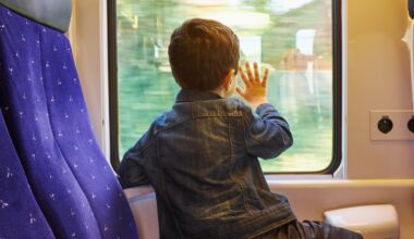 Elle frappe violemment son fils de 6 ans dans un TGV Lille-Nîmes : des voyageurs alertent la SNCF, la mère finit en garde à vue