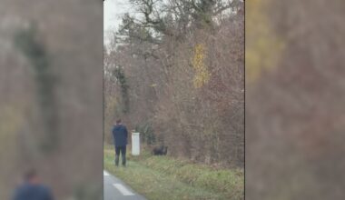 illustration agrandir l