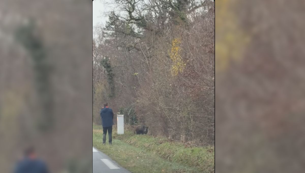 illustration agrandir l