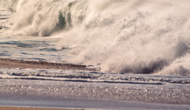 Séisme de magnitude 7,6 au Japon : les images du tremblement de terre à l’origine de l’alerte tsunami