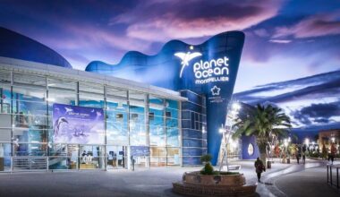 le chéquier malin pour sortir sans se ruiner