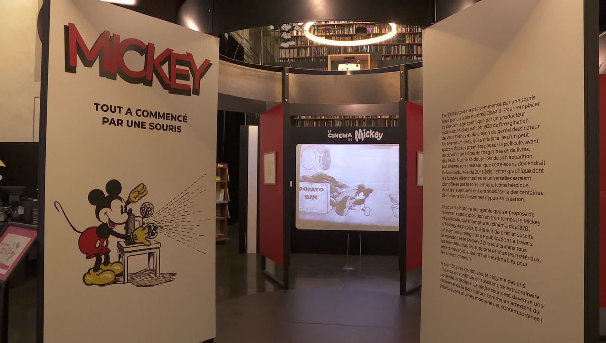 illustration agrandir l