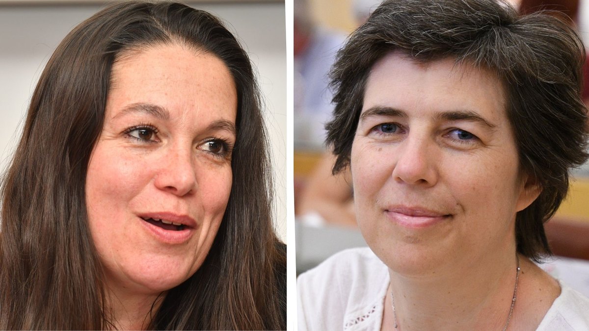 Jet de gobelet, cheveux tirés : scène improbable entre deux élues écologistes qui en viennent aux mains à Montpellier