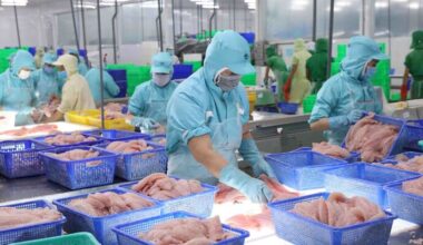 Trente-cinq ans de relations Vietnam