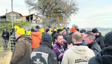 "C’est inadmissible d’abattre autant d’animaux" : 208 vaches en sursis en Ariège à cause d’un cas de dermatose nodulaire