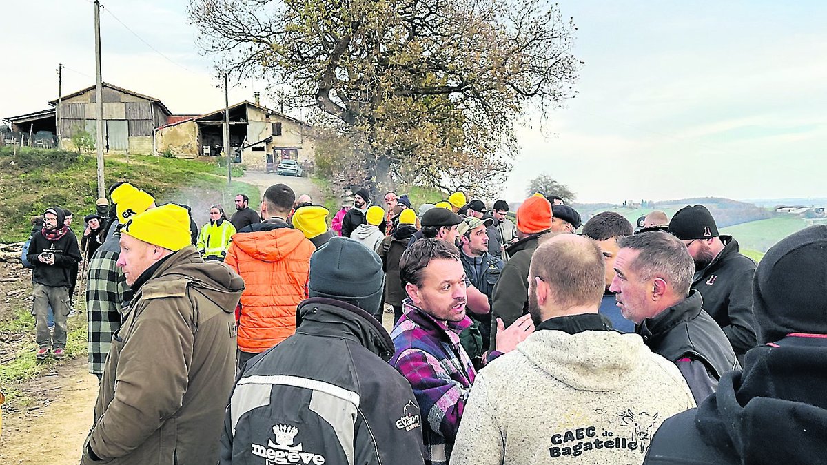 "C’est inadmissible d’abattre autant d’animaux" : 208 vaches en sursis en Ariège à cause d’un cas de dermatose nodulaire