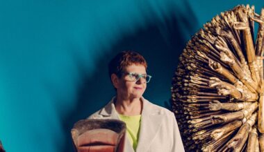 "Un musée national doit aller au plus près des gens", Yannick Lintz a choisi Montpellier pour exposer les chefs-d’œuvre du musée Guimet