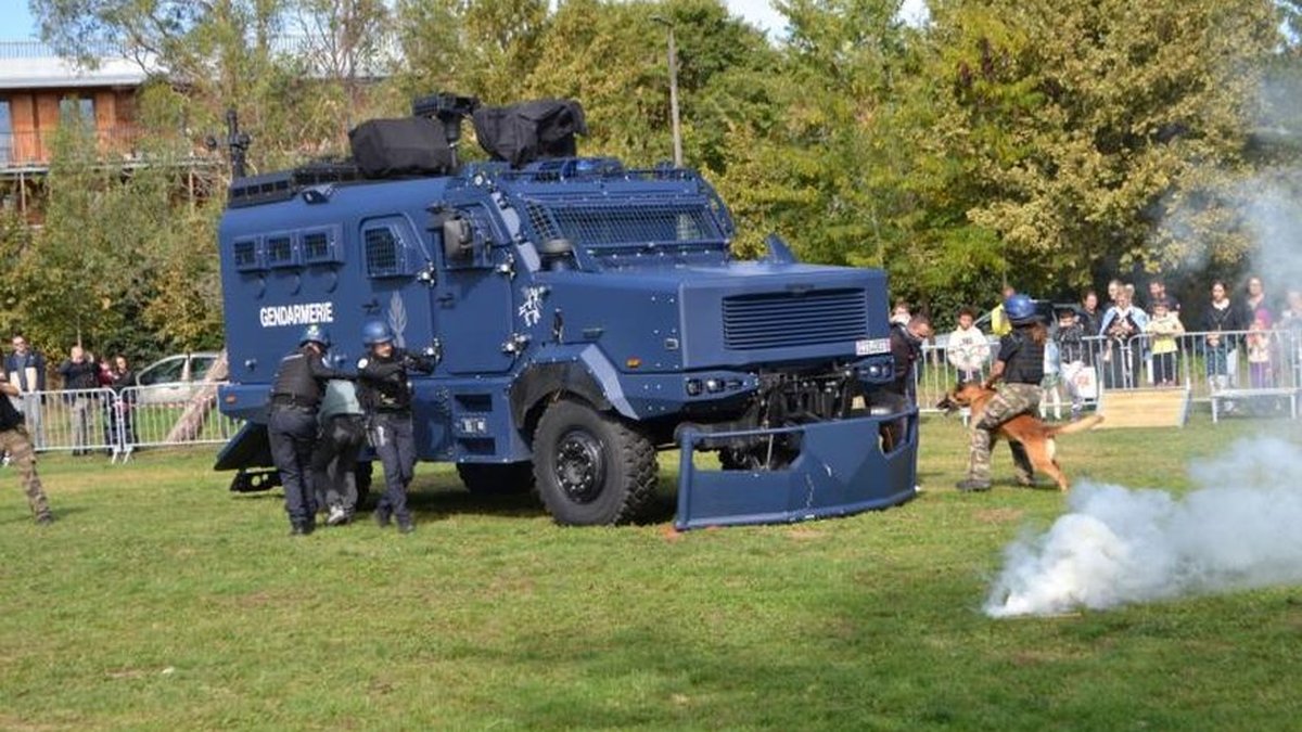 Dermatose nodulaire : les Centaure des gendarmes prêts à prendre d’assaut l’exploitation ariégeoise, les femmes agricultrices en première ligne