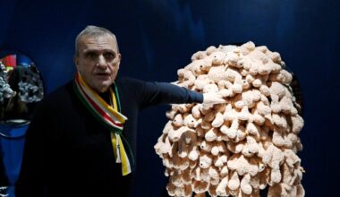 "J’ai transformé les Abattoirs en château !" Castelbajac dévoile une exposition rétrospective pleine d’audace