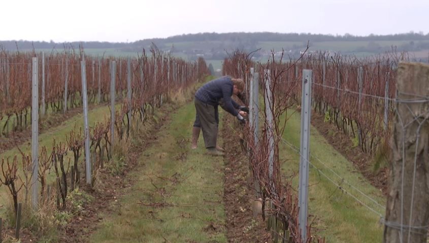 illustration agrandir l