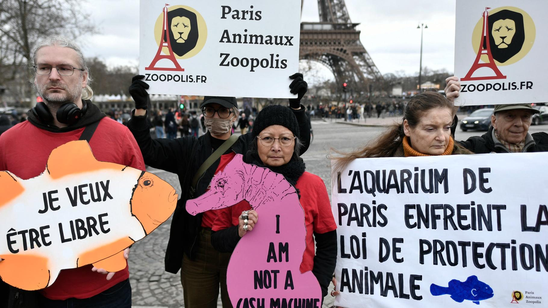 Pour les poissons, la justice demande que l’Aquarium de Paris cesse de faire discothèque